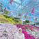 customer nurul izzah profile picture